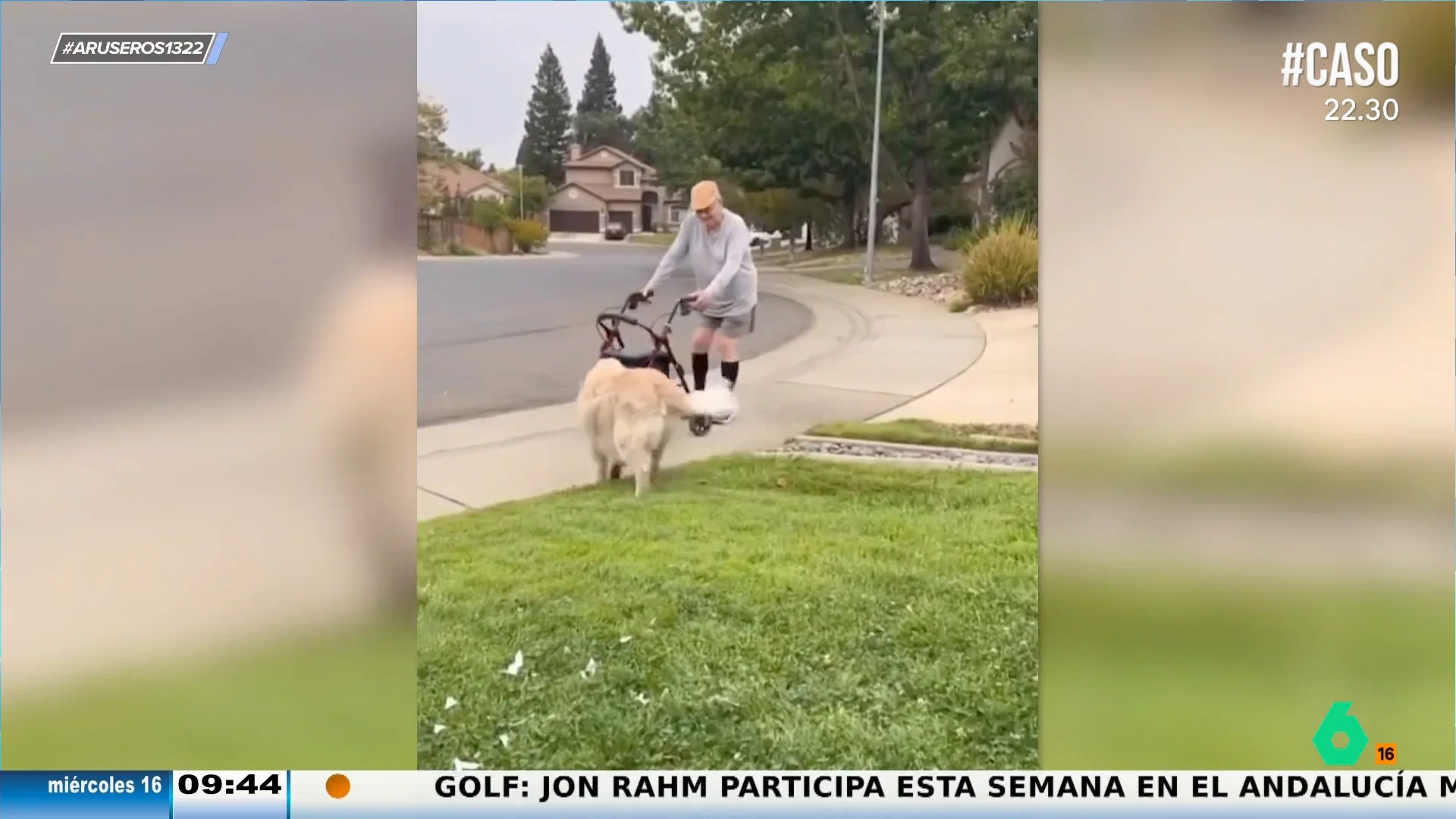 La tierna amistad entre un Golden Retriever y un anciano enternece las redes