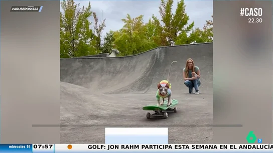 El sorprendente viral de una mujer que enseña a su gato a montar en patinete: "Incluso aprende a impulsarse" El sorprendente viral de una mujer que enseña a su gato a montar en patinete: "Incluso aprende a impulsarse"