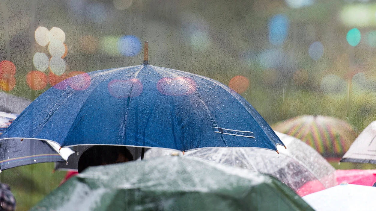 Lluvia en la ciudad y gente con paraguas Lluvia en la ciudad y gente con paraguas