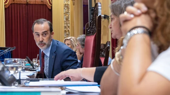 El presidente del Parlament balear, Gabriel Le Senne (Vox) El presidente del Parlament balear, Gabriel Le Senne (Vox)