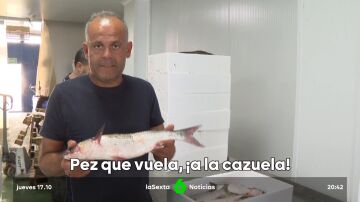 peces saltadores