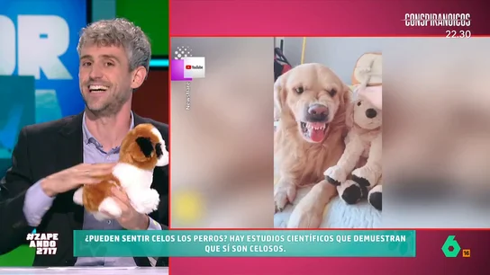 Víctor Algra desvela si los perros pueden sentir celos: "Quieren proteger nuestra relación con ellos" Un estudio de la Universidad de San Diego hizo una prueba con 36 perros para ver cómo reaccionaban ante varias situaciones como, por ejemplo, ver a sus dueños acariciar un peluche.