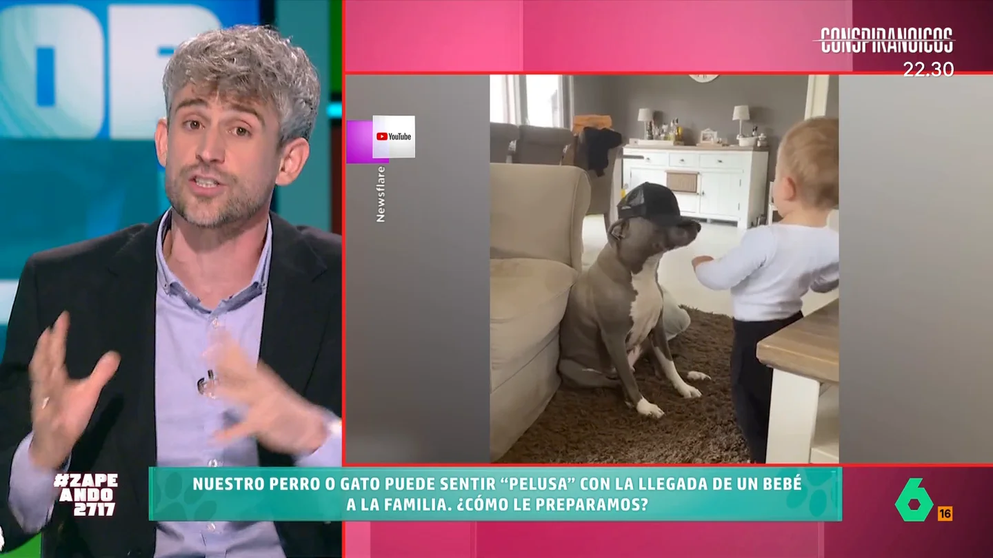 Víctor Algra explica cómo preparar a nuestras mascotas ante la llegada de un bebé a la familia Muchos padre primerizos que, además, son dueños de mascotas se pueden mostrar preocupados por cómo puede reaccionar su gato o su perro ante la llegada de su bebé a casa. El veterinario da varios consejos para evitar conflictos.