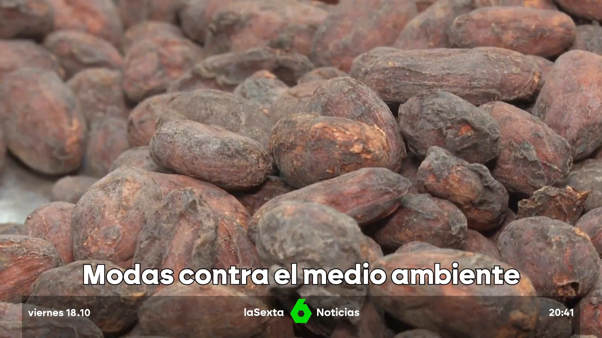 Moda de los alimentos