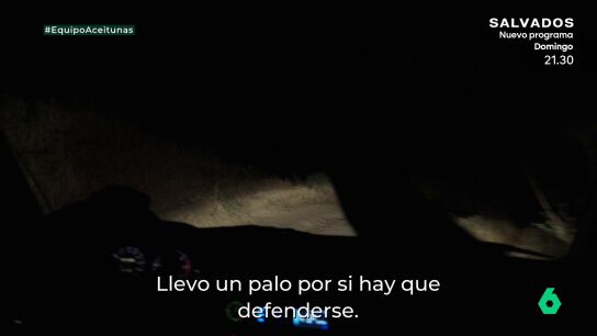 equipo 4