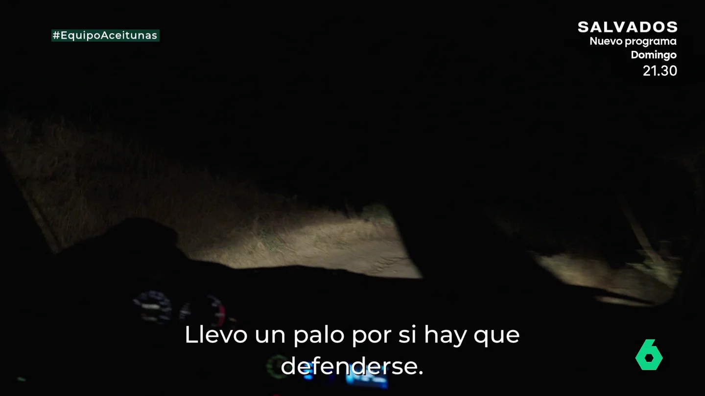 equipo 4 equipo 4