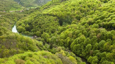 Selva de Irati, Navarra