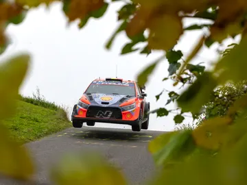 Thierry Neuville quiere firmar su Mundial a lo grande Thierry Neuville quiere firmar su Mundial a lo grande