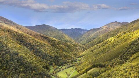 Bosque Muniellos, Asturias