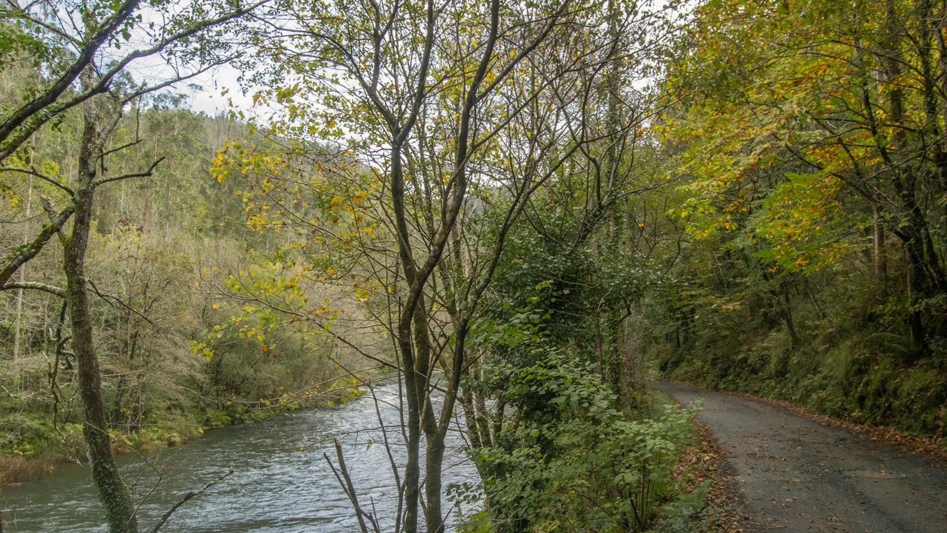 Fragas del Eume Fragas del Eume