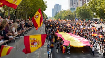 Vista de la manifestación convocada por la Plataforma por la España Constitucional para pedir elecciones ya "por la unidad, la dignidad, la ley y la libertad" y que ha salido este domingo desde la Plaza de Castilla en Madrid. 