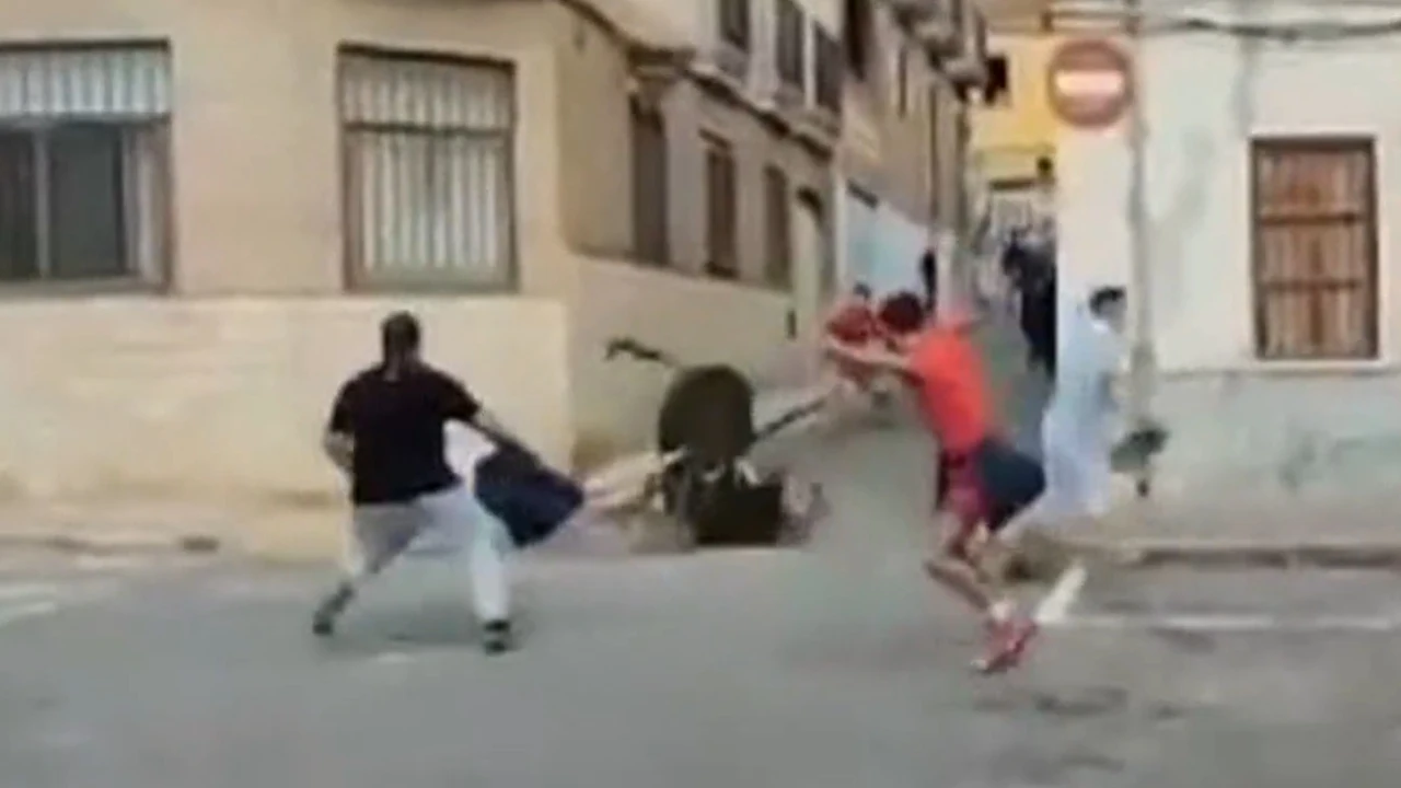 Un toro embiste a un hombre en los bous al carrer