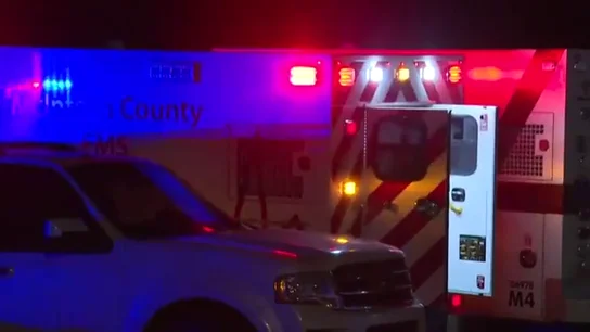 Derrumbarse parte de un muelle de ferry en una isla de Georgia (EEUU) Derrumbarse parte de un muelle de ferry en una isla de Georgia (EEUU)