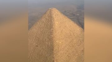 Un perro en la cima de la Gran Pirámide de Giza en Egipto