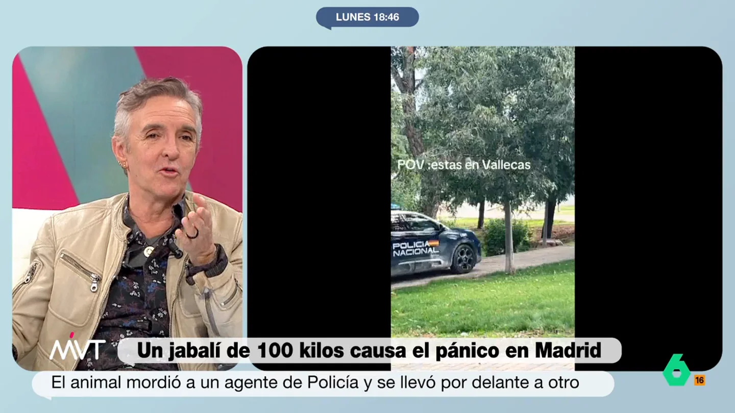 Ramoncín, sobre la aparición de un jabalí que sembró el caos: "En el Vallecas de los 80 habría acabado en el veterinario y luego en el asador" Ramoncín, sobre la aparición de un jabalí que sembró el caos: "En el Vallecas de los 80 habría acabado en el veterinario y luego en el asador"