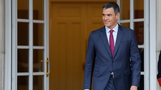 Imagen de archivo del presidente del Gobierno, Pedro Sánchez, en el Palacio de la Moncloa. Imagen de archivo del presidente del Gobierno, Pedro Sánchez, en el Palacio de la Moncloa./ EFE/Javier Lizón