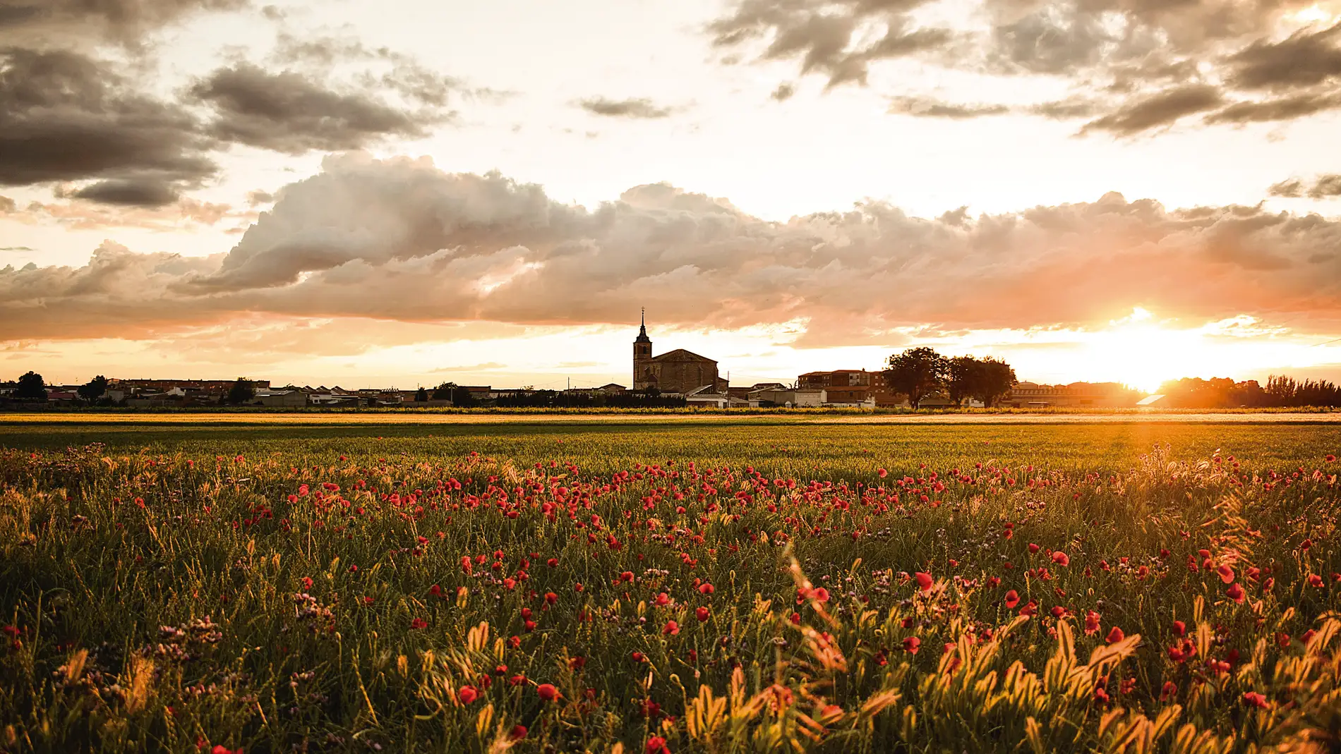 Puesta de sol en Socuéllamos Puesta de sol en Socuéllamos