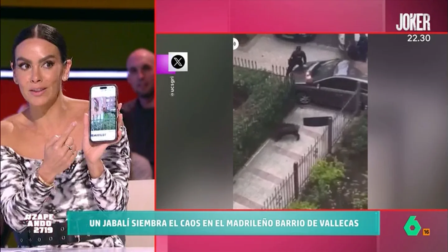 Cristina Pedroche, sobre el jabalí que sembró el caos en Vallecas: "Estaba en la puerta de mi casa" Cristina Pedroche, sobre el jabalí que sembró el caos en Vallecas: "Estaba en la puerta de mi casa"