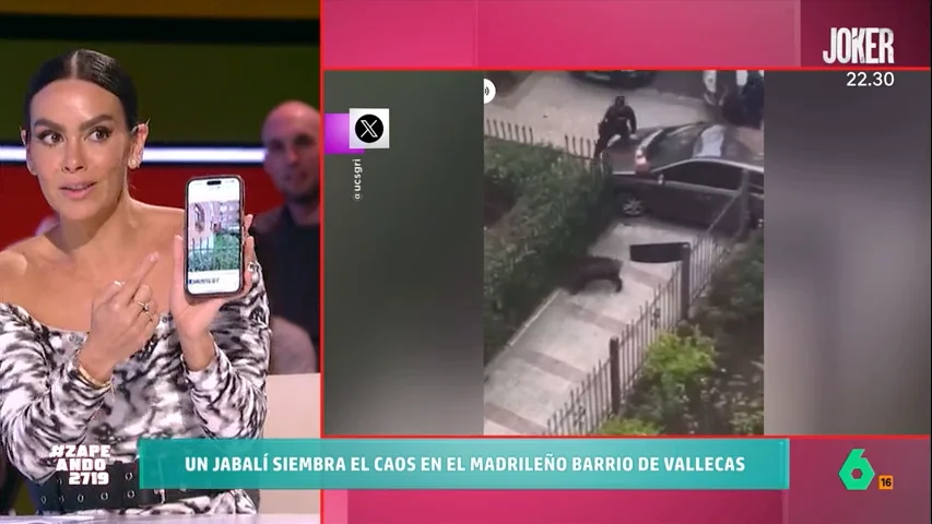 Cristina Pedroche, sobre el jabalí que sembró el caos en Vallecas: "Estaba en la puerta de mi casa"