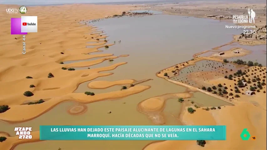 En el desierto se han formado numerosas lagunas y, además, este lago de 82 kilómetros de superficie ha vuelto a resurgir. 