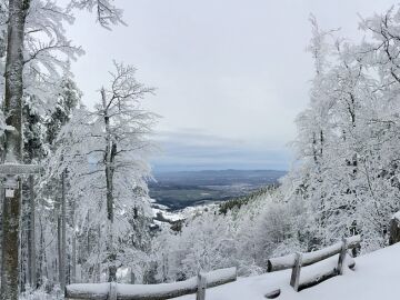 Paisaje nevado en Friburgo, en la región de la Selva Negra. Alemania