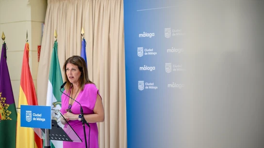 Las vergonzosas palabras de una concejala del PP de Málaga sobre la crisis de la vivienda: "No todos los malagueños son pobres" La concejala delegada de Urbanismo de Málaga, Carmen Casero, en rueda de prensa.