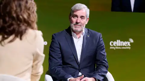 Fernando Clavijo, presidente de Canarias. Fernando Clavijo, presidente de Canarias.