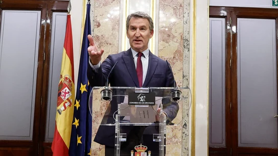 El líder del PP, Alberto Núñez Feijóo, en el Congreso de los Diputados El líder del PP, Alberto Núñez Feijóo, en el Congreso de los Diputados