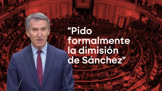 Alberto Núñez Feijóo, presidente del Partido Popular y líder de la oposición Alberto Núñez Feijóo, presidente del Partido Popular y líder de la oposición