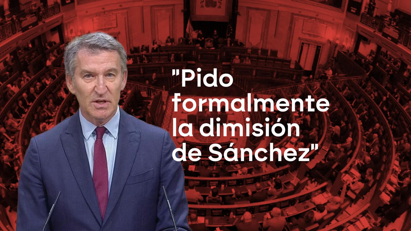 Alberto Núñez Feijóo, presidente del Partido Popular y líder de la oposición Alberto Núñez Feijóo, presidente del Partido Popular y líder de la oposición