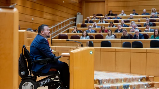 El senador del PSOE, Juan Ramón Amores, durante una sesión plenaria en el Senado, en una imagen de archivo. El senador del PSOE, Juan Ramón Amores, durante una sesión plenaria en el Senado, en una imagen de archivo.