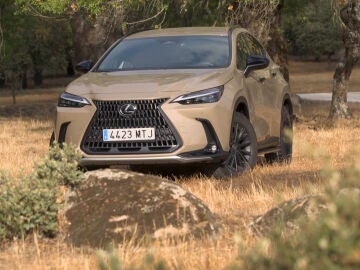 Lexus NX Overtrail