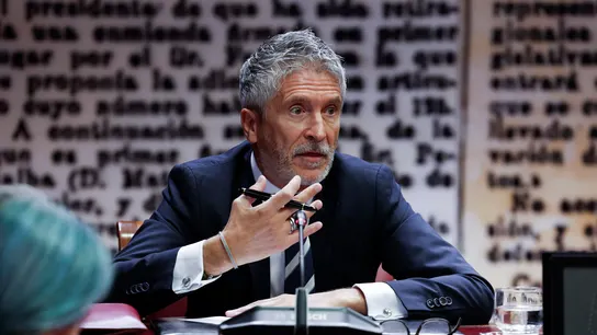 El ministro del Interior, Fernando Grande-Marlaska, comparece en la comisión que investiga el caso Koldo en el Senado El ministro del Interior, Fernando Grande-Marlaska, comparece en la comisión que investiga el caso Koldo en el Senado