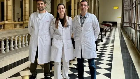 Rejuvenecen neuronas del cerebro con reprogramacion celular para aumentar su numero y plasticidad Rejuvenecen neuronas del cerebro con reprogramacion celular para aumentar su numero y plasticidad