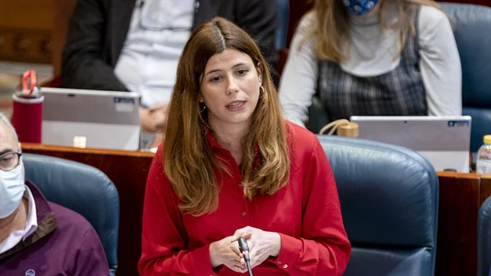 La diputada de Más Madrid, Loreto Arenillas Gómez La diputada de Más Madrid, Loreto Arenillas Gómez