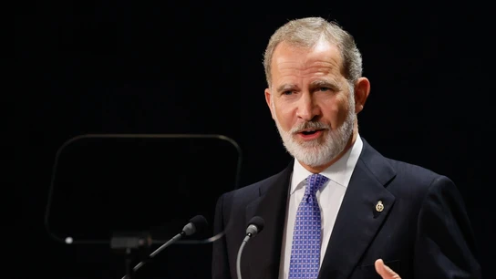El rey Felipe VI El rey Felipe VI