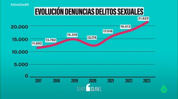 Aumentan las denuncias por violencia sexual en España: de 21.825 casos registrados, el 42% de las víctimas son menores