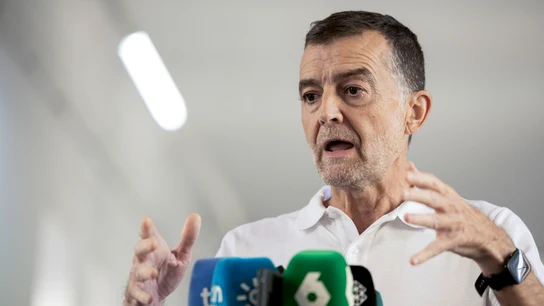 El coordinador general de Izquierda Unida, Antonio Maillo, durante unas declaraciones a los medios sobre la dimisión d Errejón.  El coordinador general de Izquierda Unida, Antonio Maillo.