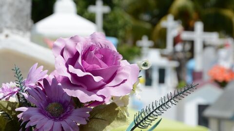 Flores y el cementerio al fondo