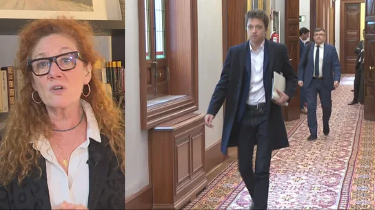 Cristina Fallarás, periodista que ha destapado los abusos de Errejón Cristina Fallarás, periodista que ha destapado los abusos de Errejón