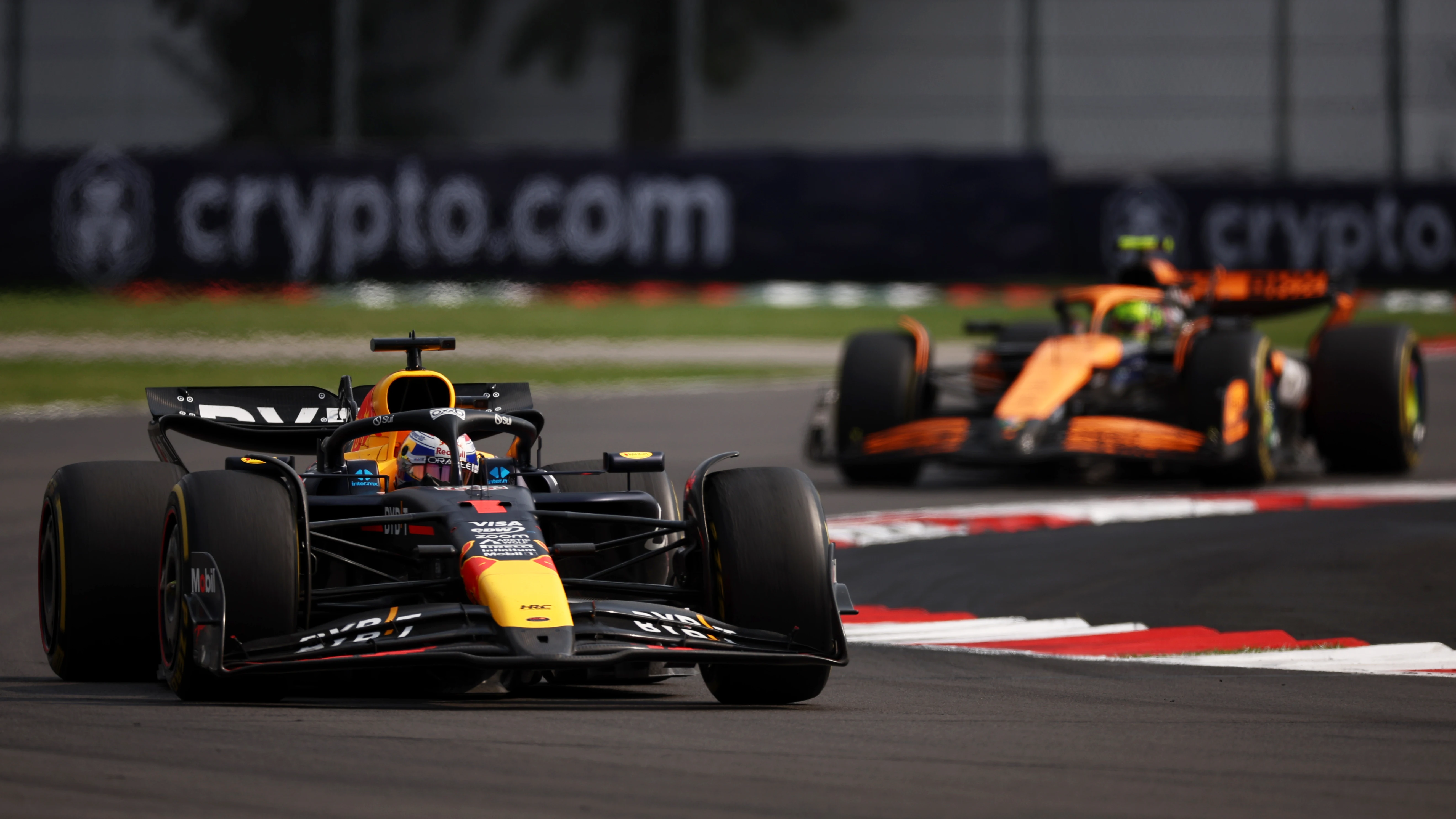 Max Verstappen y Lando Norris