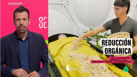 Adiós a las urnas y ataúdes: California aprueba un nuevo método ecológico para los restos humanos Adiós a las urnas y ataúdes: California aprueba un nuevo método ecológico para los restos humanos