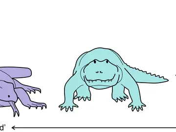 Especímenes del presente investigadas en el estudio Especímenes del presente investigadas en el estudio