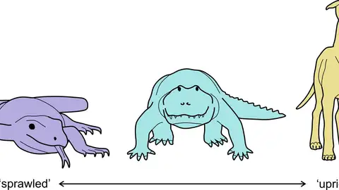 Especímenes del presente investigadas en el estudio Especímenes del presente investigadas en el estudio