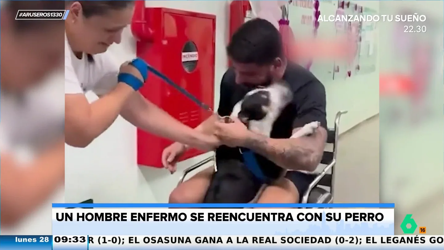 El conmovedor reencuentro de un hombre enfermo con su perro en el hospital El conmovedor reencuentro de un hombre enfermo con su perro en el hospital