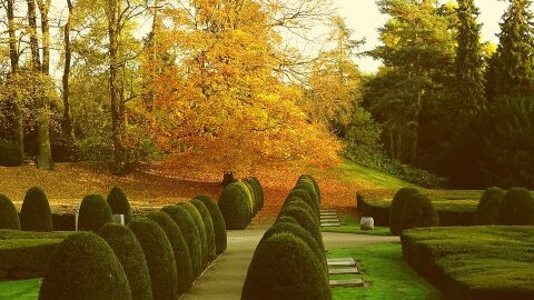 Cementerio de Ohlsdorf