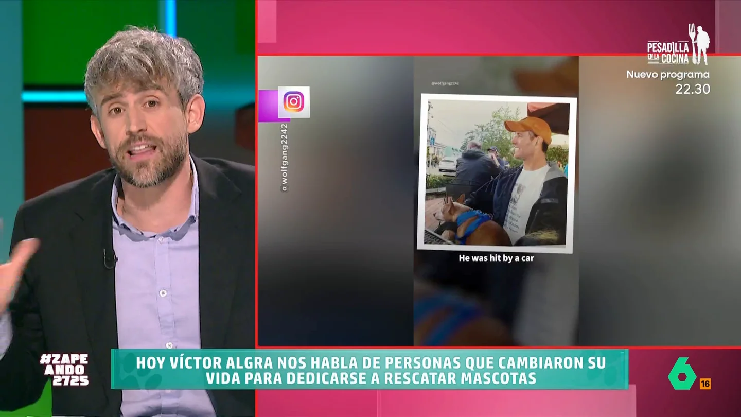 Víctor Algra presenta en Zapeando la emotiva historia de Steve Greig, el jubilado que rescata perros ancianos Víctor Algra presenta en Zapeando la emotiva historia de Steve Greig, el jubilado que rescata perros ancianos