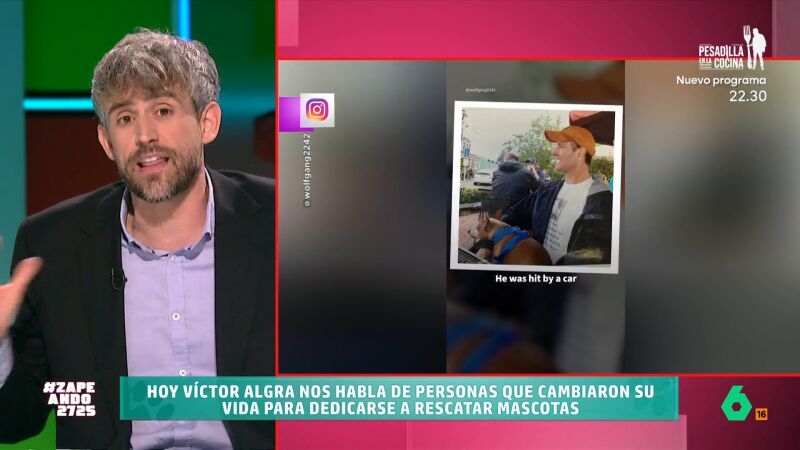 Víctor Algra presenta en Zapeando la emotiva historia de Steve Greig, el jubilado que rescata perros ancianos