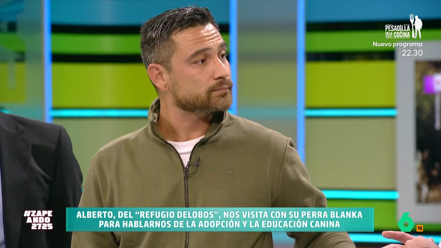 Alberto Delobos cuenta cuál es la labor que llevan a cabo en el Refugio canino Delobos: "Rescatamos y rehabilitamos" En este refugio, situado en Guadalajara, tiene más de 70 perros que han sido rescatados en un estado terrible. A través de su labor buscan darles el mayor bienestar posible y darlos en adopción a la persona perfecta para ellos.