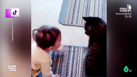 Zapeando 'demuestra' quienes son los grandes enemigos de los gatos: los niños En el Día Internacional del Gato, Zapeando hace una recopilación de los vídeos más virales protagonizados por los mininos y niños, que no dudan en mostrar su enemistad con los pequeños a pesar de la presencia de sus padres.